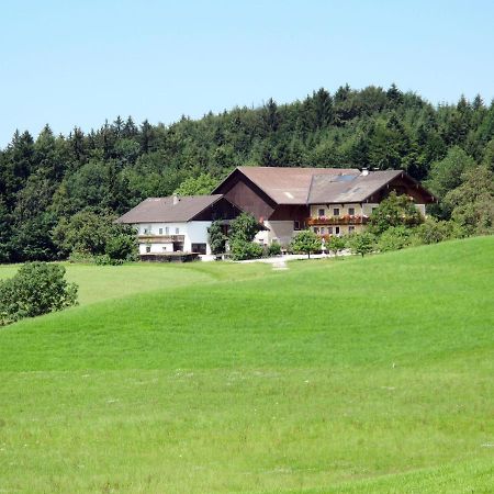 Apartment Bauernhof Vorderroid - Mon400 Oberhofen am Irrsee Luaran gambar