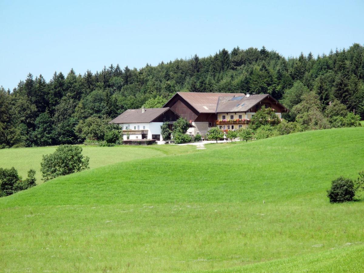 Apartment Bauernhof Vorderroid - Mon400 Oberhofen am Irrsee Luaran gambar